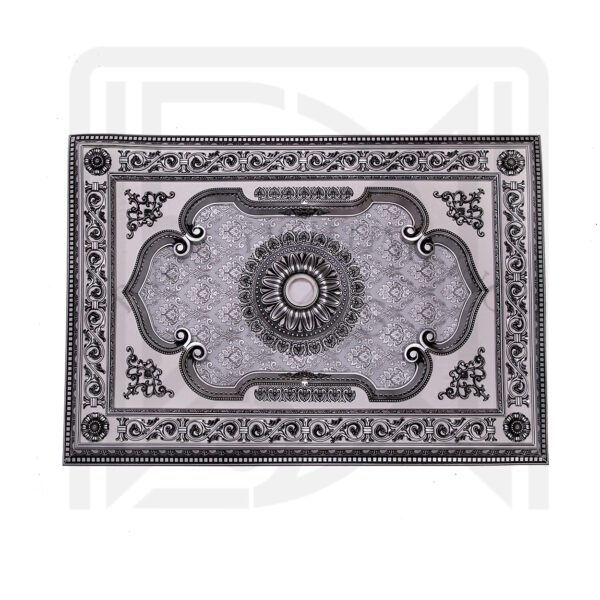 RECT1F105234-55x80